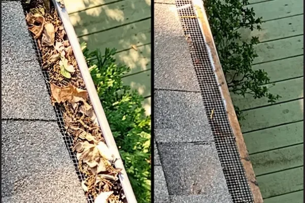 roof-cleaning